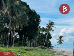 ขายที่ดินติดทะเล (แบ่งขาย )45-3-21.0 ตร.วา  อำเภอท่าศาลา นครศรีธรรมราช-202505150938251747276705828.jpg