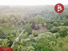 ขายที่ดินติดทะเล (แบ่งขาย )45-3-21.0 ตร.วา  อำเภอท่าศาลา นครศรีธรรมราช-202505150938261747276706453.jpg