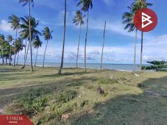 ขายที่ดินติดทะเล (แบ่งขาย )45-3-21.0 ตร.วา  อำเภอท่าศาลา นครศรีธรรมราช-202505150938311747276711580.jpg