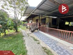 ขายที่ดิน เนื้อที่ 1 ไร่ 23 ตร.วา บ้านค่าย ระยอง-202505151407031747292823219.jpg