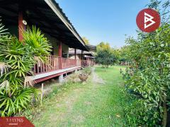 ขายที่ดิน เนื้อที่ 1 ไร่ 23 ตร.วา บ้านค่าย ระยอง-202505151407031747292823856.jpg