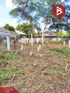 ขายที่ดิน เนื้อที่ 1 งาน 24.5 ตร.วา สามพร้าว อุดรธานี