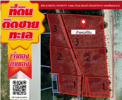 ขายที่ดินติดทะเล (แบ่งขาย )45-3-21.0 ตร.วา  อำเภอท่าศาลา นครศรีธรรมราช-202505151433111747294391274.jpg