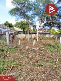ขายที่ดิน เนื้อที่ 1 งาน 24.5 ตร.วา สามพร้าว อุดรธานี-202505151433261747294406665.jpg