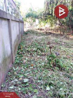 ขายที่ดิน เนื้อที่ 1 งาน 24.5 ตร.วา สามพร้าว อุดรธานี-202505151433341747294414696.jpg