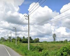 ขายที่สวย 14 ไร่ กว่า ติดถนนหลัก สกลนคร-มุกดาหาร-202505151434201747294460971.jpg
