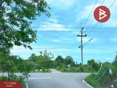 ขายที่ดิน โฉนดครุฑแดง เนื้อที่ 14 ไร่ 3 งาน 33.2 ตร.วา ปากท่อ ราชบุรี-202505151536401747298200613.jpg