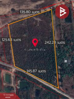 ขายที่ดิน โฉนดครุฑแดง เนื้อที่ 14 ไร่ 3 งาน 33.2 ตร.วา ปากท่อ ราชบุรี-202505151536431747298203197.jpg