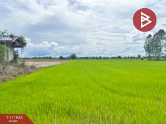 ขายที่ดิน เนื้อที่ 18 ไร่ 3 งาน 86 ตร.วา สวรรคโลก สุโขทัย-202505151553061747299186261.jpg