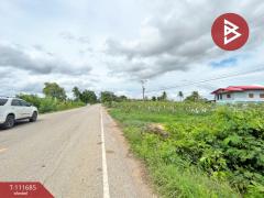 ขายที่ดิน เนื้อที่ 18 ไร่ 3 งาน 86 ตร.วา สวรรคโลก สุโขทัย-202505151553061747299186968.jpg