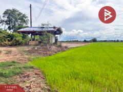 ขายที่ดิน เนื้อที่ 18 ไร่ 3 งาน 86 ตร.วา สวรรคโลก สุโขทัย-202505151553081747299188940.jpg