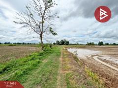 ขายที่ดิน เนื้อที่ 18 ไร่ 3 งาน 86 ตร.วา สวรรคโลก สุโขทัย-202505151553091747299189761.jpg