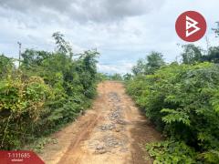 ขายที่ดิน เนื้อที่ 18 ไร่ 3 งาน 86 ตร.วา สวรรคโลก สุโขทัย-202505151553141747299194534.jpg