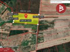ขายที่ดิน เนื้อที่ 49 ไร่ 2 งาน 75 ตร.วา หันคา ชัยนาท-202505151726431747304803910.jpg