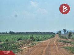 ขายที่ดิน เนื้อที่ 49 ไร่ 2 งาน 75 ตร.วา หันคา ชัยนาท-202505151726451747304805189.jpg