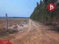ขายที่ดิน เนื้อที่ 49 ไร่ 2 งาน 75 ตร.วา หันคา ชัยนาท-202505151726461747304806147.jpg