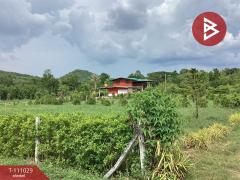 ขายที่ดินทำเลดี เนื้อที่ 3 ไร่ 16.2 ตร.วา หนองปลาไหล สระบุรี-202505161040091747366809126.jpg