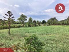 ขายที่ดินทำเลดี เนื้อที่ 3 ไร่ 16.2 ตร.วา หนองปลาไหล สระบุรี-202505161040101747366810063.jpg