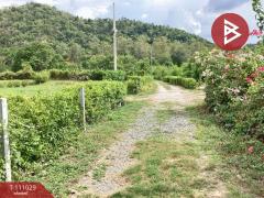 ขายที่ดินทำเลดี เนื้อที่ 3 ไร่ 16.2 ตร.วา หนองปลาไหล สระบุรี-202505161040131747366813386.jpg