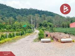 ขายที่ดินทำเลดี เนื้อที่ 3 ไร่ 16.2 ตร.วา หนองปลาไหล สระบุรี-202505161040141747366814690.jpg