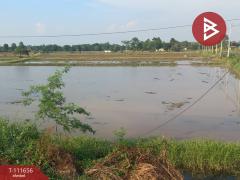 ขายที่ดิน เนื้อที่ 12 ไร่ 2 งาน 34.6 ตร.วา ฆะมัง พิจิตร