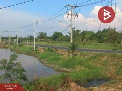 ขายที่ดิน เนื้อที่ 5 ไร่ 91.1 ตร.วา หัวไทร นครศรีธรรมราช-202505161201161747371676789.jpg