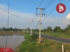 ขายที่ดิน เนื้อที่ 12 ไร่ 2 งาน 34.6 ตร.วา ฆะมัง พิจิตร-202505161201181747371678783.jpg