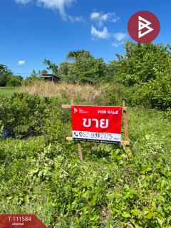 ขายที่ดิน เนื้อที่ 5 ไร่ 91.1 ตร.วา หัวไทร นครศรีธรรมราช-202505161201221747371682694.jpg