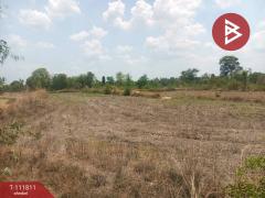 ขายที่ดิน เนื้อที่ 10 ไร่ ปทุมราชวงศา อำนาจเจริญ