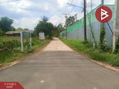 ขายที่ดิน เนื้อที่ 10 ไร่ ปทุมราชวงศา อำนาจเจริญ-202505161447081747381628328.jpg
