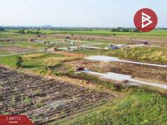 ขาย(ด่วน)ที่ดิน 400 ตร.วา อ.เลาขวัญ กาญจนบุรี