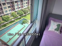 ขาย/ให้เช่าถูกมาก!! Dcondo Campus Resort Rangsit เฟอร์ครบ ใกล้ม.ธรรมศาสตร์รังสิต ม.กรุงเทพ ฟิวเจอร์ฯ-202505181115241747541724885.jpg