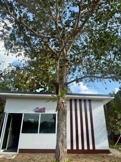 ขายขาดทุน รีสอร์ทสไตล์ญี่ปุ่น น้ำไม่ท่วม วิวภูเขาสวยงาม อ.แม่ออน เชียงใหม่-202505190418241747603104125.jpg