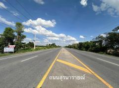ขายที่ดิน 44-2-91 ไร่ บ้านพังเทียม อำเภอโนนไทย ทำเลดี ติดถนนเส้นหลัก 4 เลน ถนนสุรนารายณ์ #LB122 – 001011-202505191142051747629725444.jpg