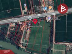 ขายที่ดิน เนื้อที่ 10 ไร่ บางระกำ พิษณุโลก-202505191154311747630471200.jpg