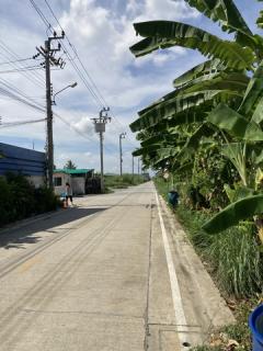 ขายที่ดินเปล่า 3 แปลงติดกัน ทำเลดี เหมาะทำเป็นที่พักอาศัย ซอยเป็นถนนคอนกรีตกว้าง รถเข้าออกได้สะดวก-202505191516401747642600068.jpg