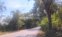 ที่ดินพร้อมสิ่งปลูกสร้าง ต.นาวังหิน อ.พนัสนิคม จ.ชลบุรี-202505191655021747648502743.jpg