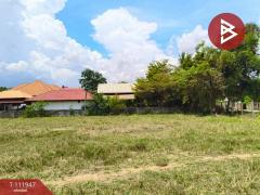 ขายที่ดิน : 2-2-41.4 ตร.วา  อ.ยางตลาด จ.กาฬสินธุ์-202505192208281747667308178.jpg
