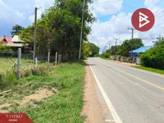 ขายที่ดิน : 2-2-41.4 ตร.วา  อ.ยางตลาด จ.กาฬสินธุ์-202505192208561747667336631.jpg