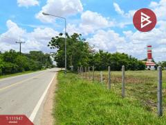 ขายที่ดิน : 2-2-41.4 ตร.วา  อ.ยางตลาด จ.กาฬสินธุ์-202505192209221747667362093.jpg