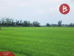 ขายที่ดิน เนื้อที่ 10 ไร่ บางระกำ พิษณุโลก