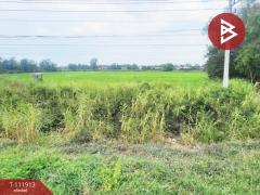 ขายที่ดิน เนื้อที่ 10 ไร่ บางระกำ พิษณุโลก-202505201026491747711609997.jpg