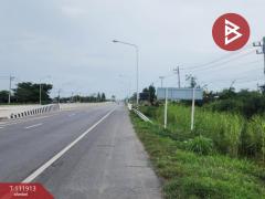 ขายที่ดิน เนื้อที่ 10 ไร่ บางระกำ พิษณุโลก-202505201026511747711611228.jpg