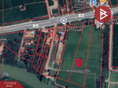 ขายที่ดิน เนื้อที่ 10 ไร่ บางระกำ พิษณุโลก-202505201026511747711611854.jpg