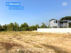 ที่ดินถมแล้ว 60 ตร.ว. แปลงสวยติดถนน น้ำไฟพร้อม ใกล้บิ๊กซีไทรน้อย ซื้อไว้ลงทุน/ปลูกบ้าน/สร้างบ้านขาย กำไรตั้งแต่ซื้อ คลองขวาง, ไทรน้อย, นนทบุรี 