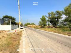 ที่ดินถมแล้ว 60 ตร.ว. แปลงสวยติดถนน น้ำไฟพร้อม ใกล้บิ๊กซีไทรน้อย ซื้อไว้ลงทุน/ปลูกบ้าน/สร้างบ้านขาย กำไรตั้งแต่ซื้อ คลองขวาง, ไทรน้อย, นนทบุรี -202505201103481747713828988.jpg