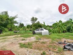 ขายที่ดิน เนื้อที่ 1 ไร่ หนองฉาง อุทัยธานี-202505201157081747717028525.jpg