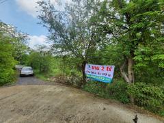 ขายที่ดินเปล่า 2ไร่ พิกัดซอยข้างแขวงการทางสุพรรณบุรี สามแยกอู่ยา ถนนมาลัยแมน อ.เมือง สุพรรณบุรี-202505201158221747717102343.jpg