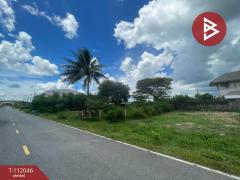 ขายที่ดิน เนื้อที่ 55.4 ตร.วา หาดใหญ่ สงขลา-202505201212581747717978650.jpg