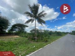ขายที่ดิน เนื้อที่ 55.4 ตร.วา หาดใหญ่ สงขลา-202505201212591747717979586.jpg